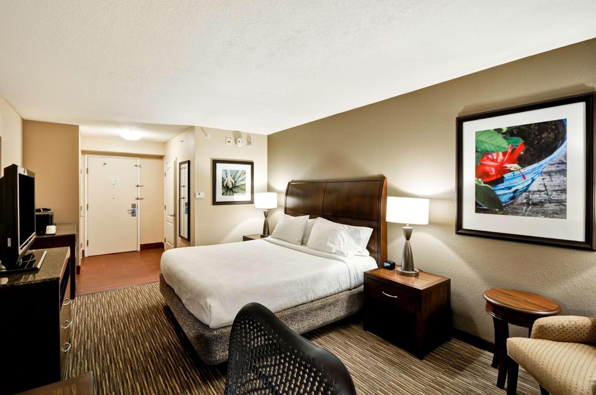 Hilton Garden Inn Tampa North Temple Terrace Buitenkant foto
