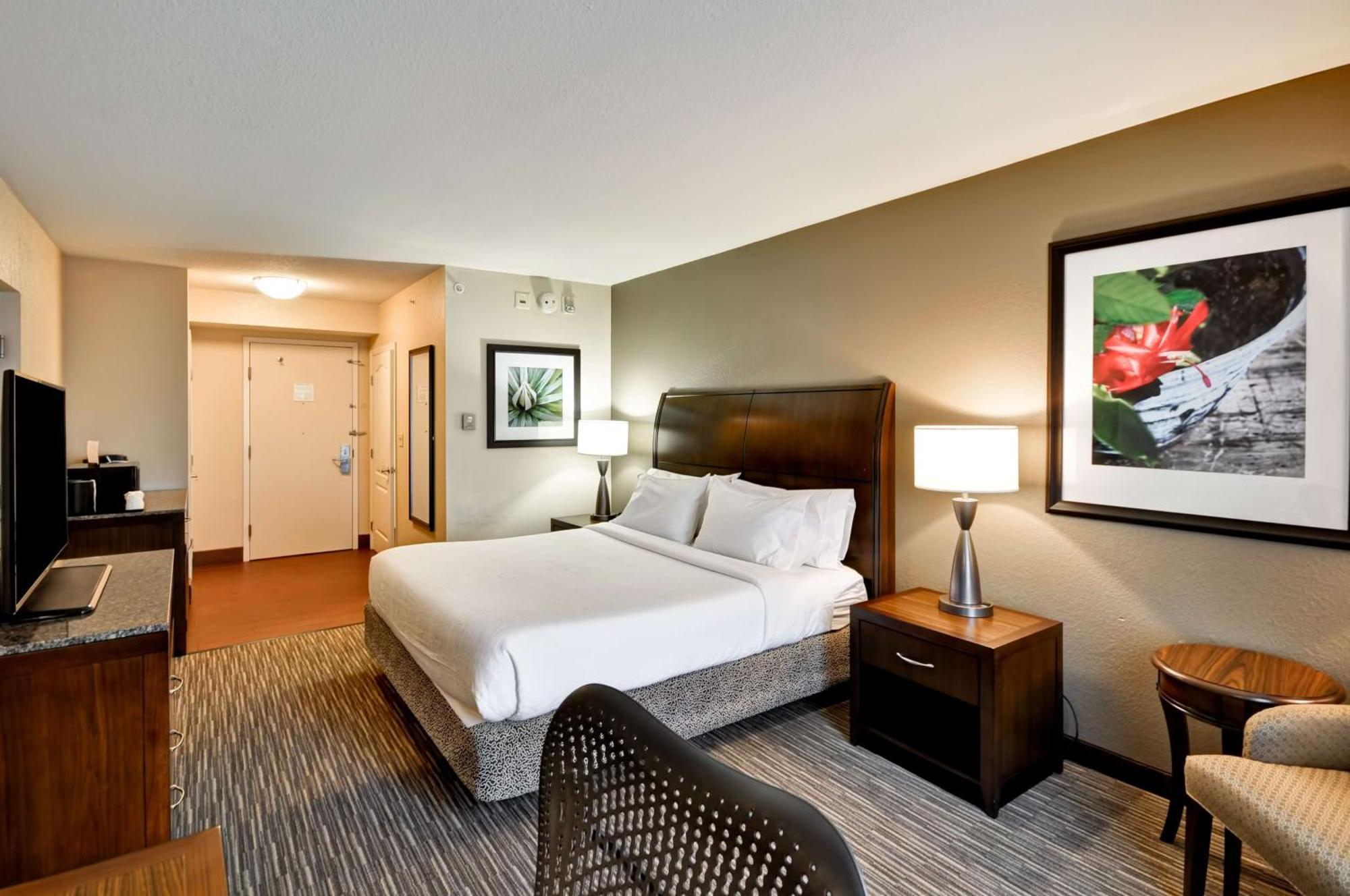 Hilton Garden Inn Tampa North Temple Terrace Buitenkant foto