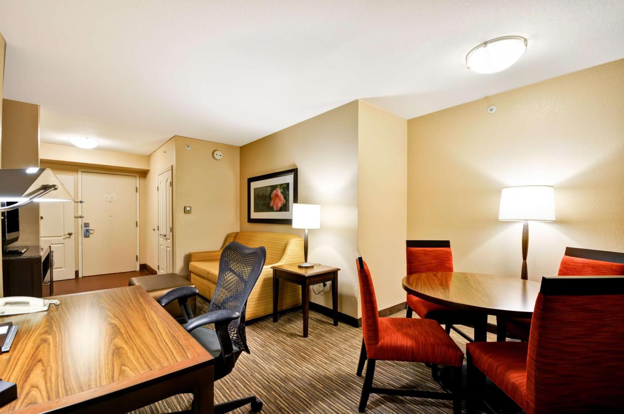 Hilton Garden Inn Tampa North Temple Terrace Buitenkant foto